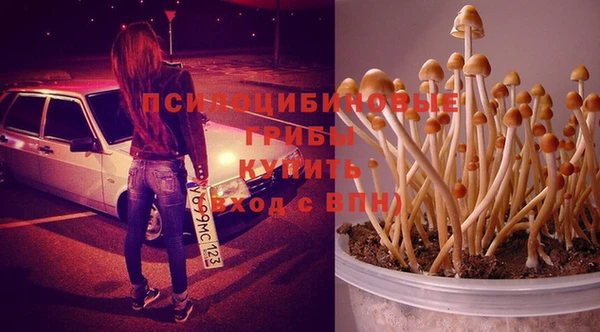 кокаин перу Сатка